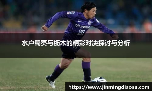 水户蜀葵与枥木的精彩对决探讨与分析